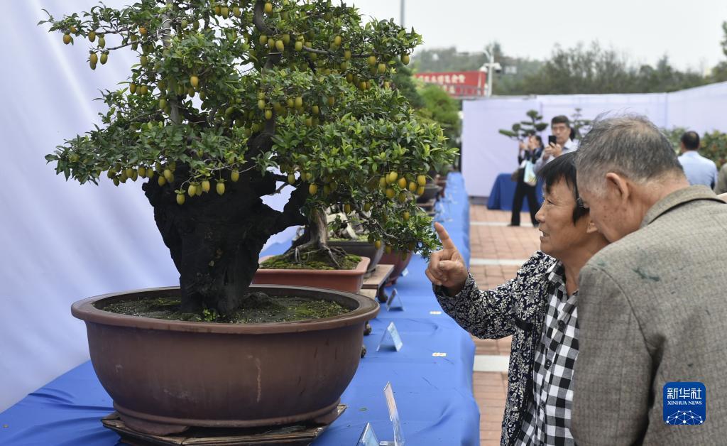 街机奔驰宝马